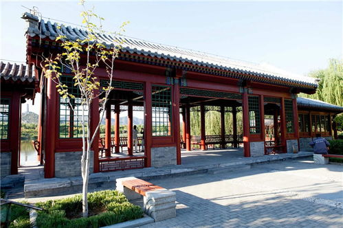 匠心雕琢，藝承古今——嘉興仿古門窗與東陽藝隆古建工程的傳承與創新